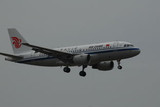 AIRBUS A319 100 B 6225 中国北京首都国际机场 Re 萌新雨天拍机,渣图再请各位大佬指点指点