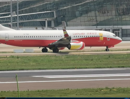 BOEING 737 800 B 7991 中国武汉天河国际机场 Re 武汉天河拍机之旅