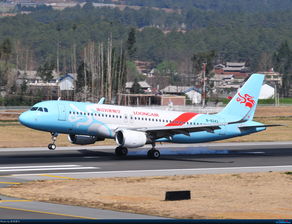 AIRBUS A320 200 B 8243 中国丽江三义机场 Re 3月21日LJG拍机