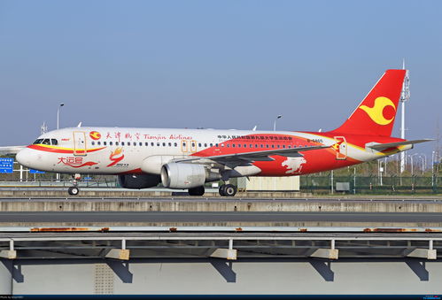 AIRBUS A320 200 B 6865 中国武汉天河国际机场 Re WUH天河机场2021年拍机之二月