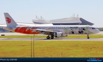 AIRBUS A321 200 B 6365 中国南昌昌北机场 KHN 今夏 昌北拍到的那些花机